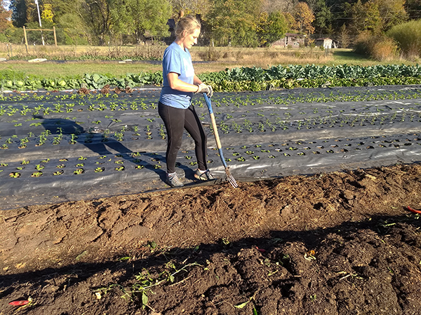 The Evolution Of No Till Farming Practices On Spring Forth Farm